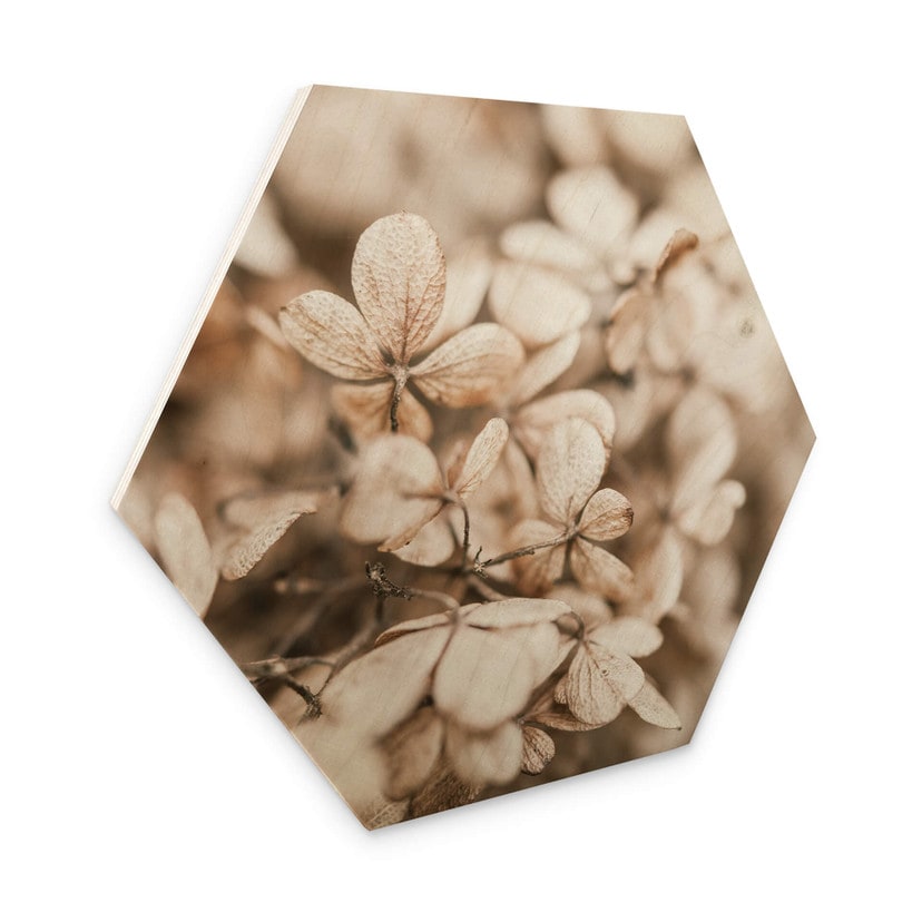 Hexagone - Bois Annie - Fleurs en velours