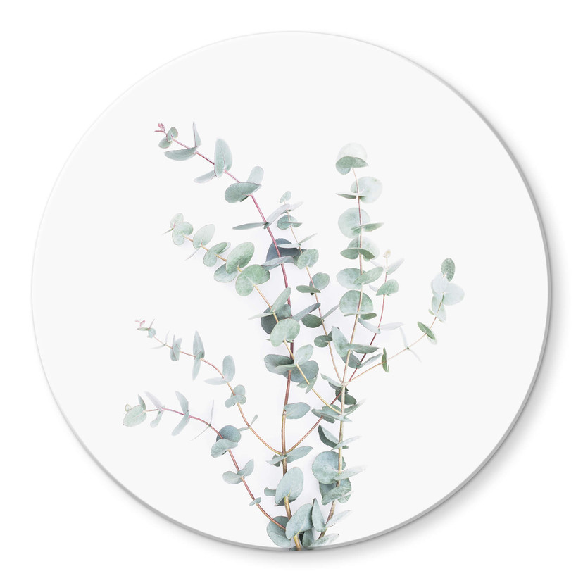 Tableau en verre Sisi & Seb - Branche d'Eucalyptus - Rond