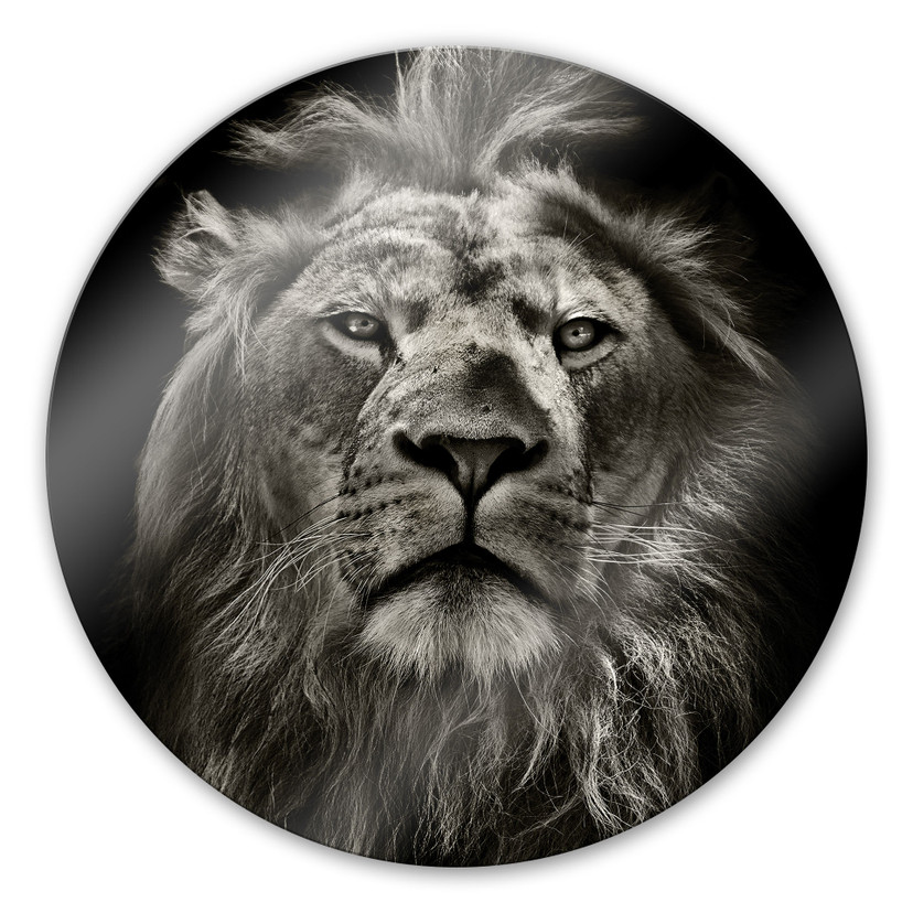 Tableau en verre - Lion - rond