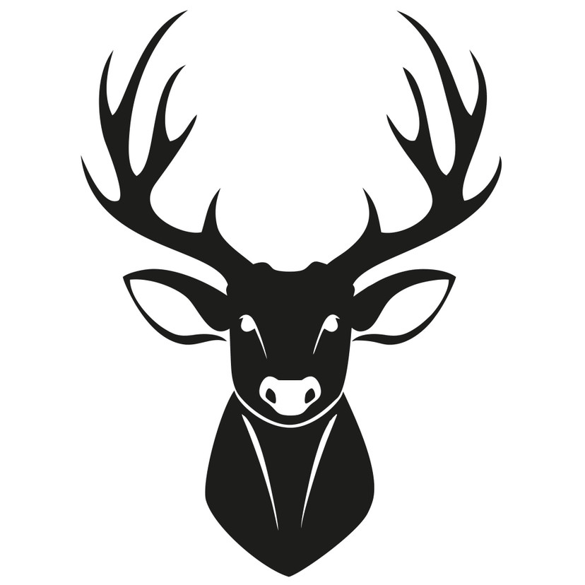 Sticker mural - Cerf + Set de 3 patères inclus