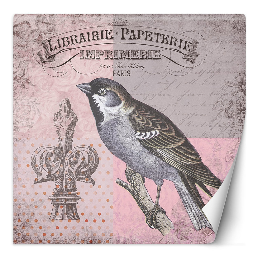 Fototapete, Vogel Natur auf rosa Hintergrund Shabby Chic - Andrea Haase