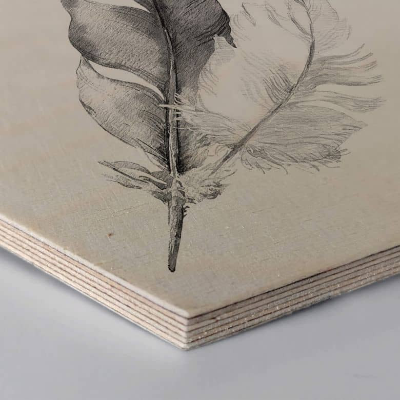 Hexagon Hout - Feathers