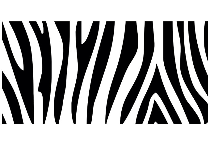 Dekoracja okienna zebra
