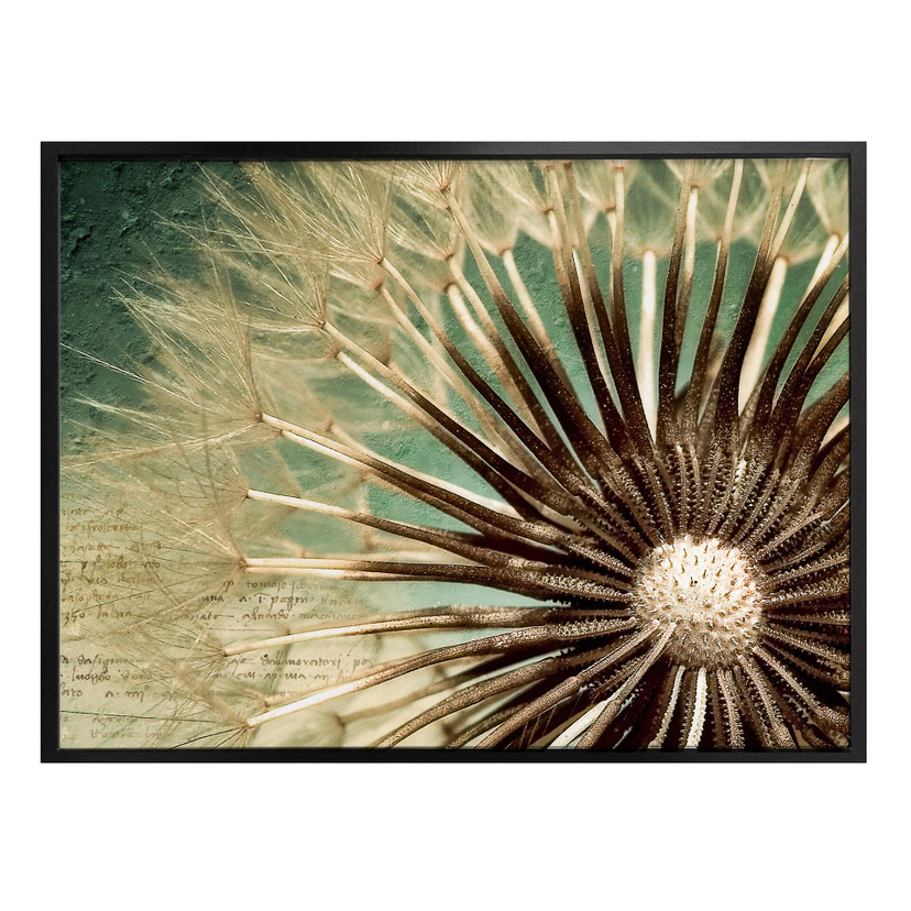 Plakat Dandelion Poetry