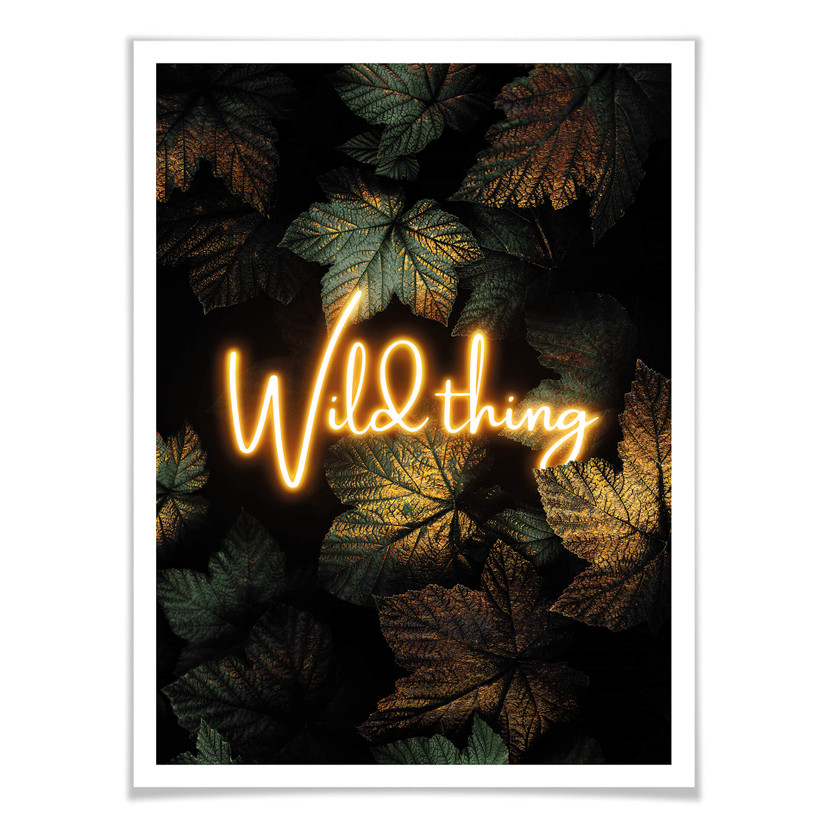 Plakat - Frederiksson - Wild Thing