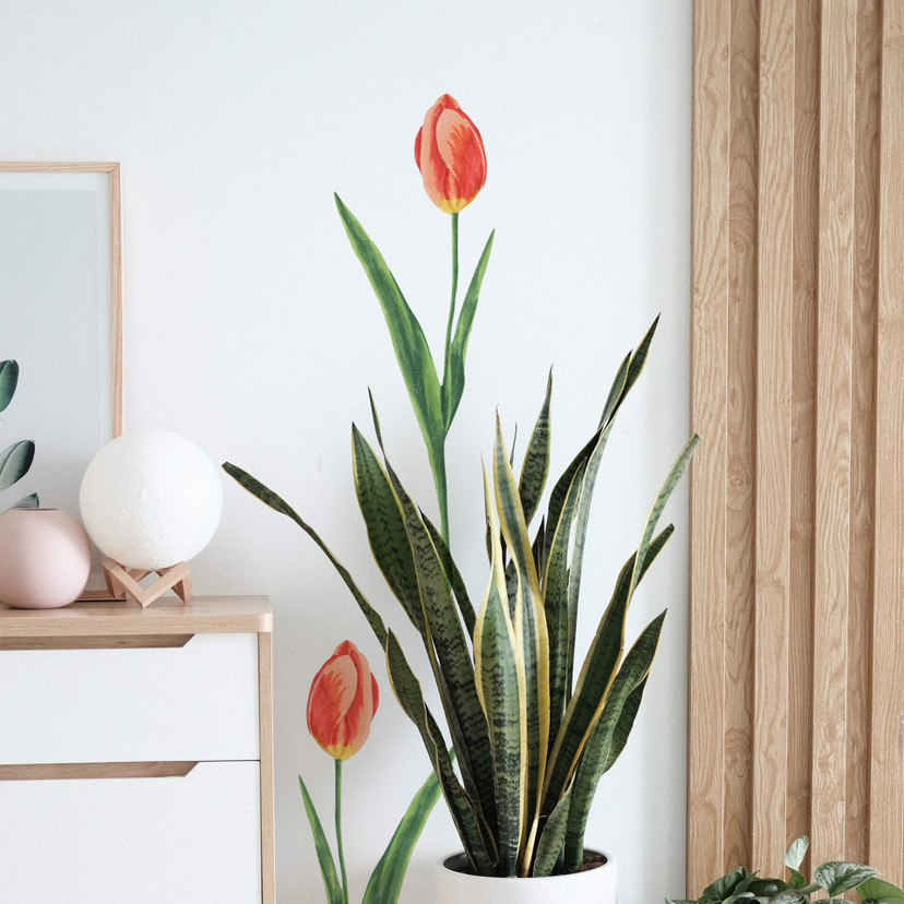 Muursticker Rode Tulp