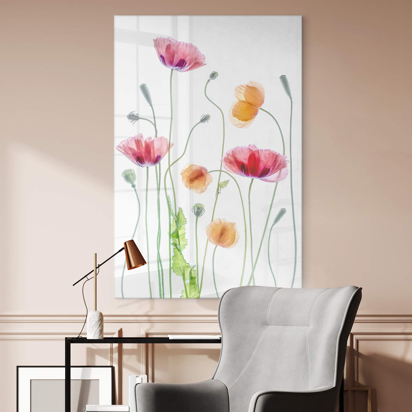 Akrylbillede Disher - Colourful Poppies