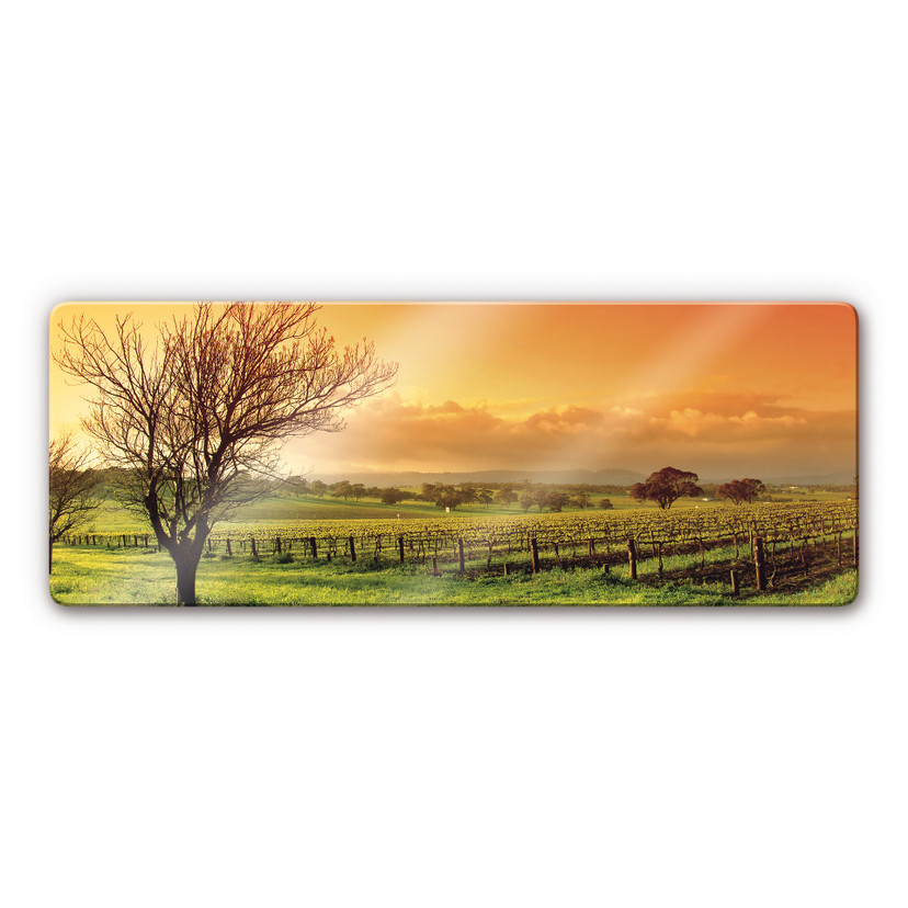 Tableau en verre - Vignobles - Panorama