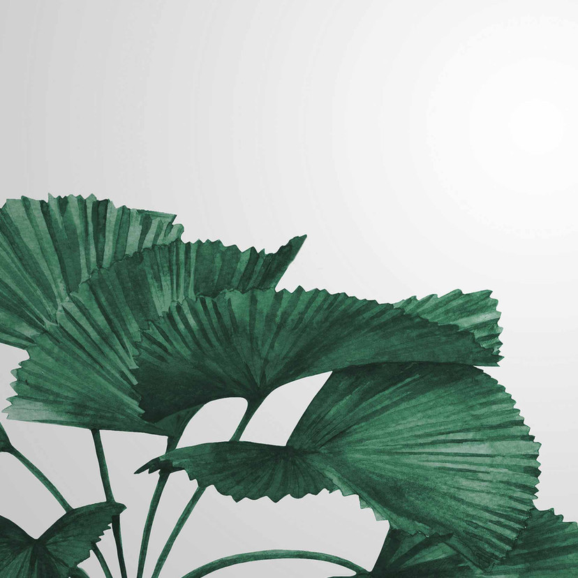 Papier peint végétal Tropical Leaves en gris vert - Papier peint intissé Designwalls 2 - 2,55 x 3,5