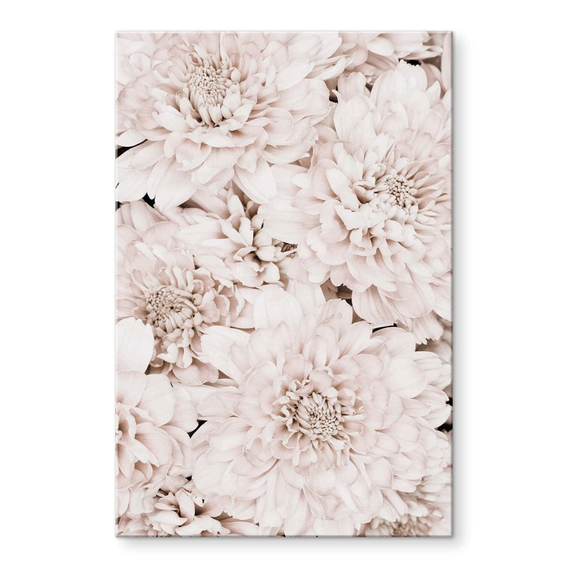 Akrylbillede 1X Studio - Aster Apricot