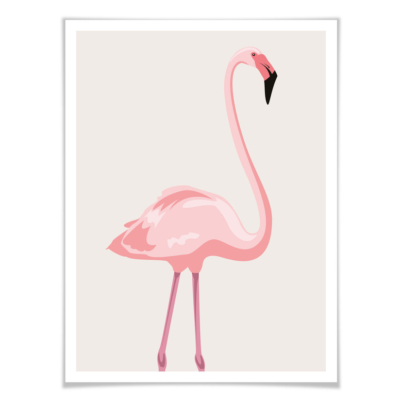 Plakat Flamingo 01