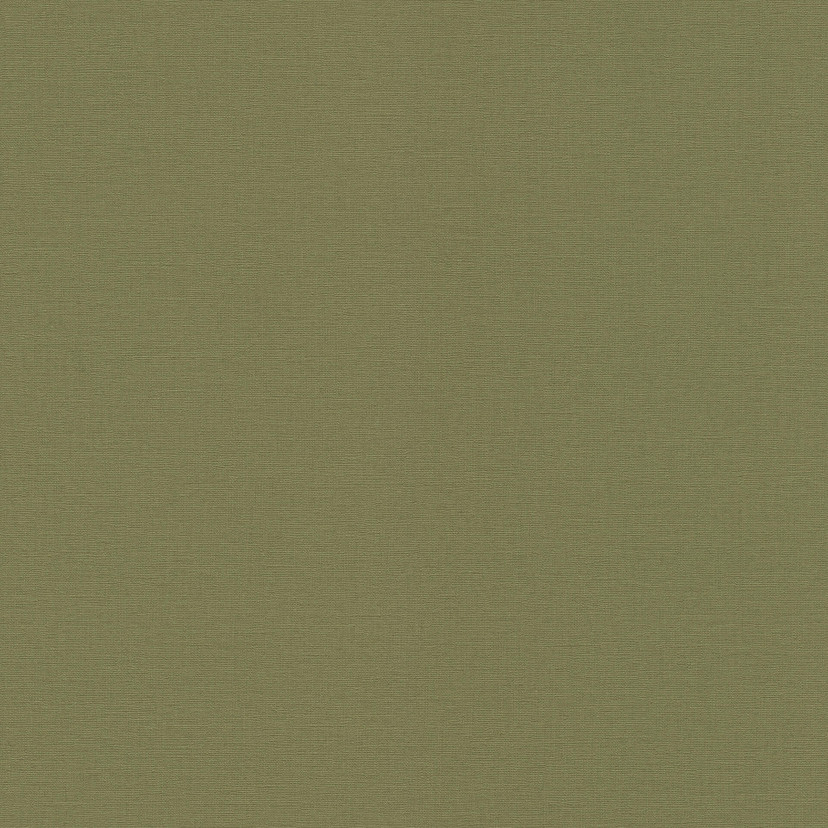 Rasch papier peint intissé, papier peint uni Salsa vert kaki