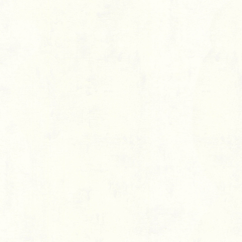 A.S. Création Vliestapete Used Look Tapete in Vint
