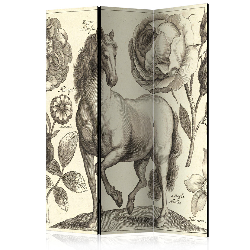 Screen room divider - Hest, 3-delt - 135x172 cm