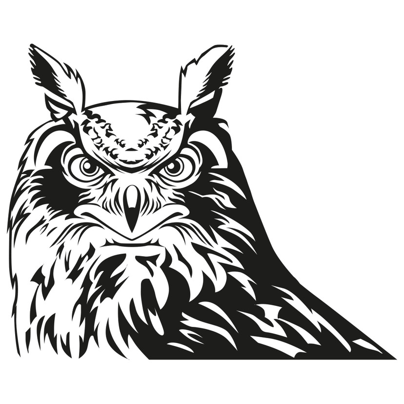 Wallsticker Ørneugle