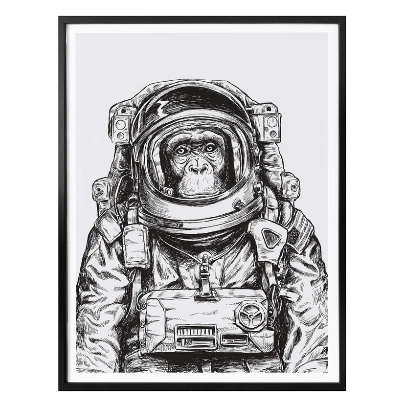 Plakat Space Monkey