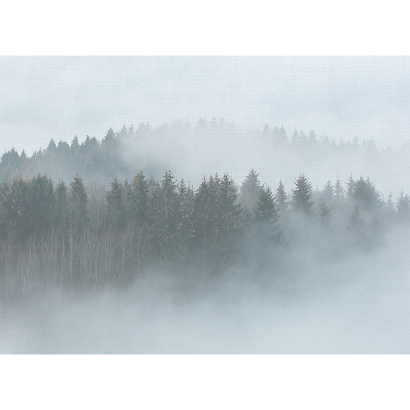 fototapet Designwalls i hvidt og grønt non-woven tapet Misty Forest landskab træ