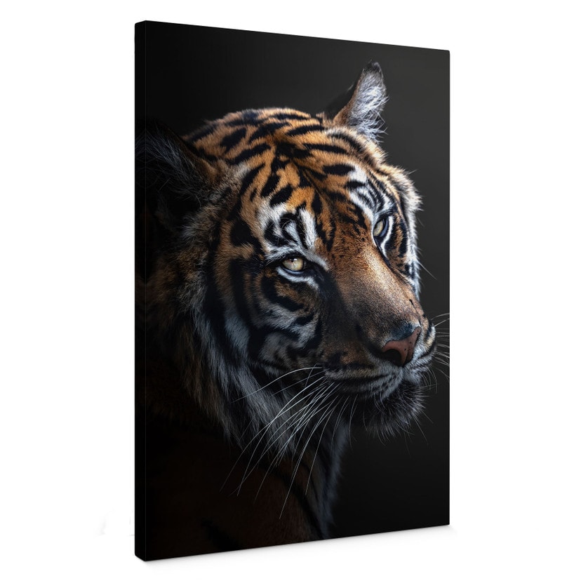Canvas schilderij Majestueuze Tijgerblik - Krygowski