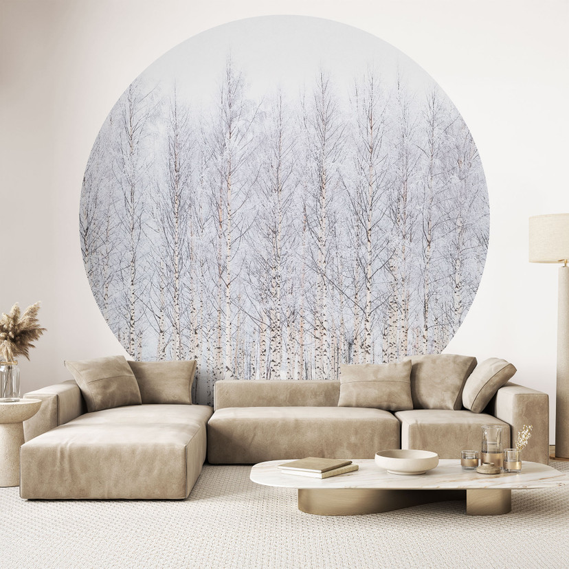 Fototapeta Forest Trees | Birch Forest in Winter - EMELIEmaria - Okrągła - samoprzylepna/nie tkana