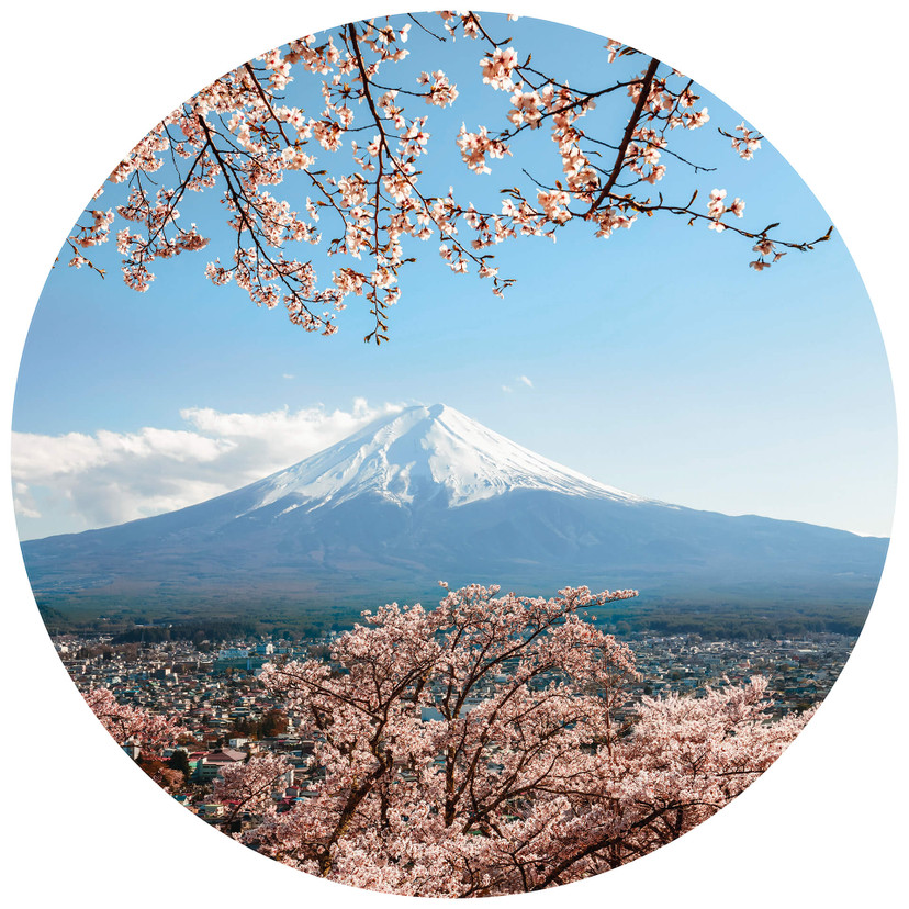 Fototapeta Colombo - Góra Fuji w Japonii - Okrągła - tapeta flizelinowa/tapeta flizelinowa samoprzyl