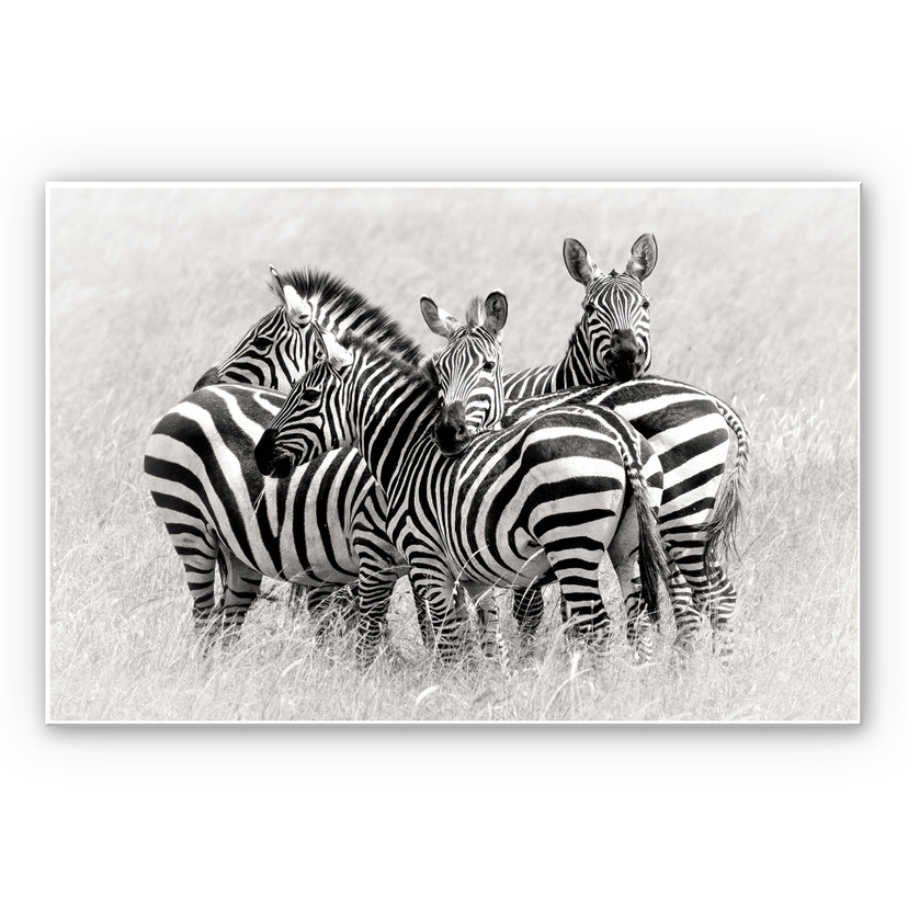 Tableau Forex - Trubitsyn - Zèbres dans la savane
