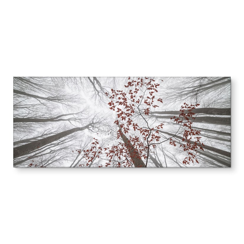 Crédence de Cuisine Cimes d'arbres aux feuilles rouges - Coman