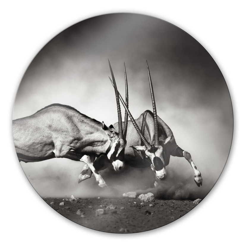 Tableau en verre - Le duel - rond
