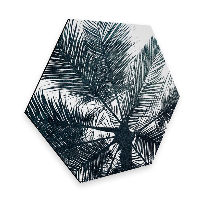 Hexagon Dibond Kubistika - California Dreaming