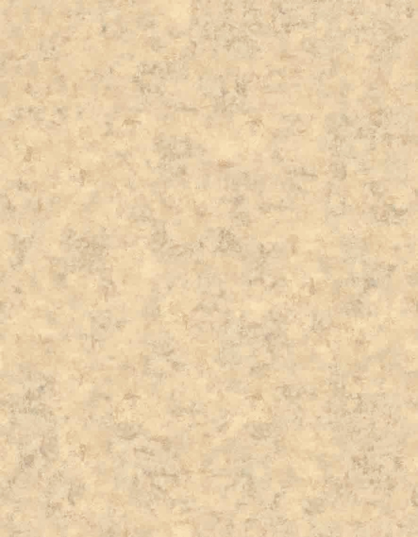 Fototapet Boho bananblad i naturliga toner på en sandig vintagetextur 3,4 x 2,65 m