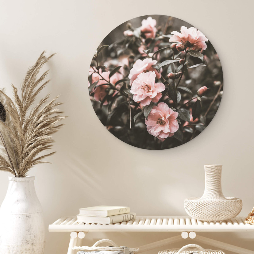 Tableau sur alu-Dibond Annie - Rosier - Rond