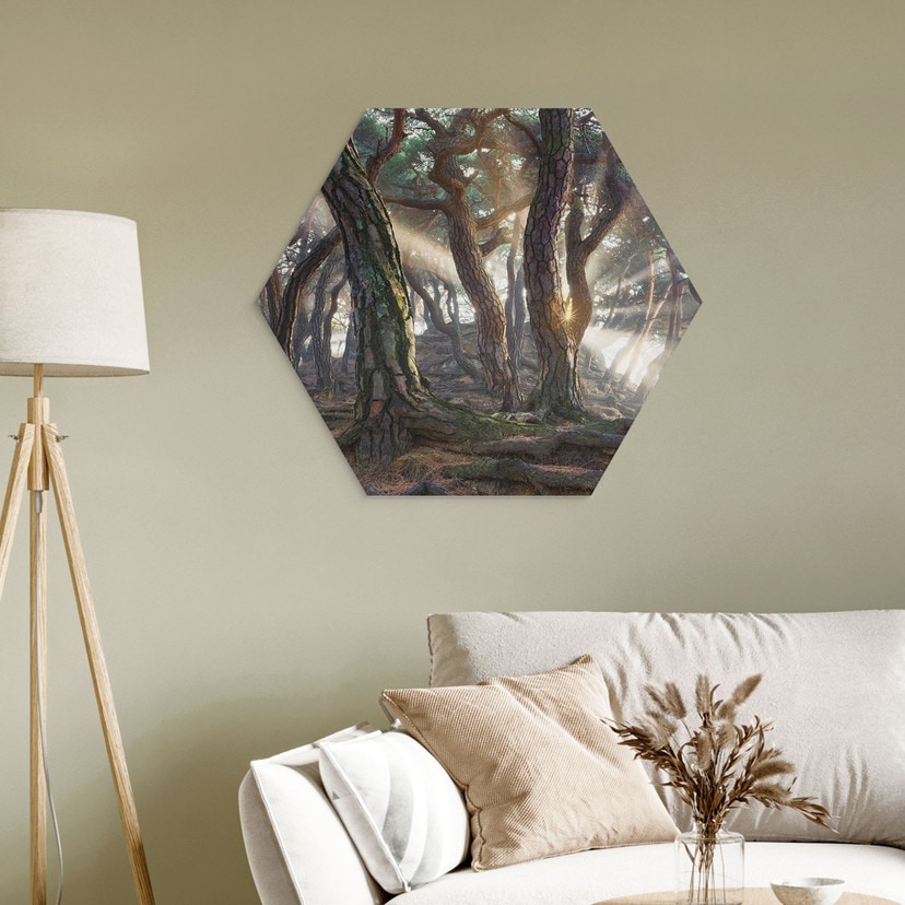 Hexagon Wandbild Heiliger Kiefernwald - Ryu - Alu-Dibond