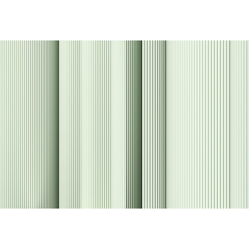 Fotomural Paredes de Patel 3 Magic Wall 2 verde