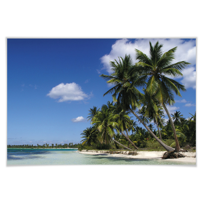 Poster - Charme des Caraïbes