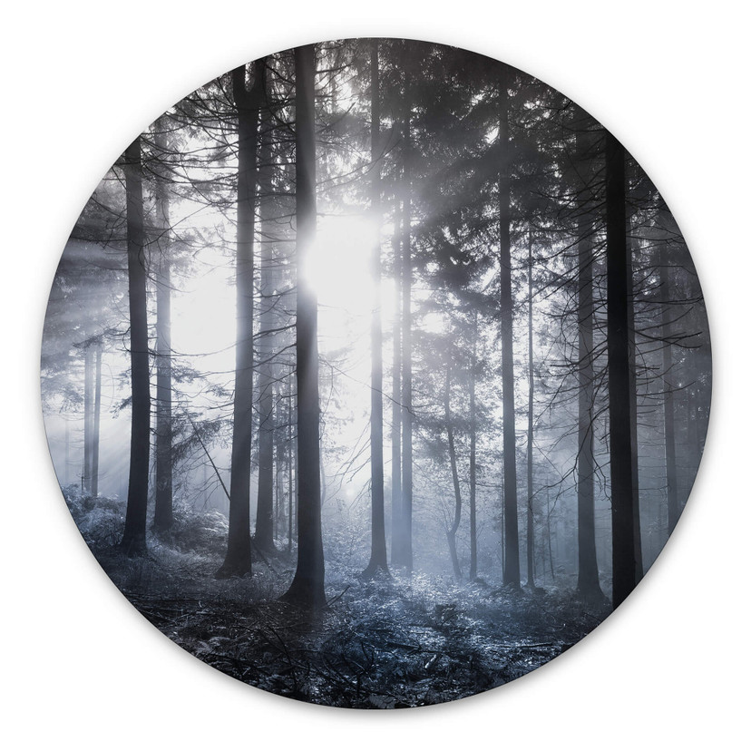 Tableau en alu-Dibond Rayons de soleil dans la forêt bleue - Rond