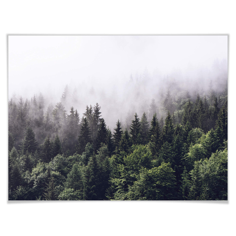 Plakat z mglistym lasem