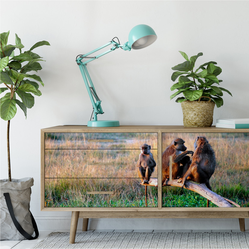Wallprint W - Affenbande - Panorama