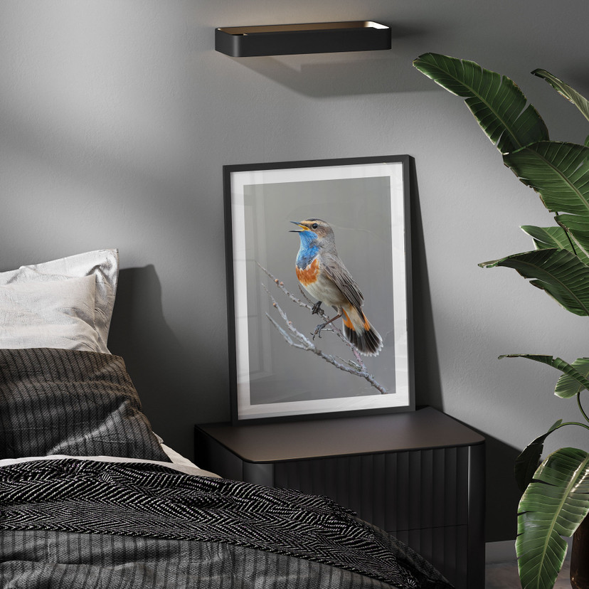 Plakat med syngende blåhals - van Duijn