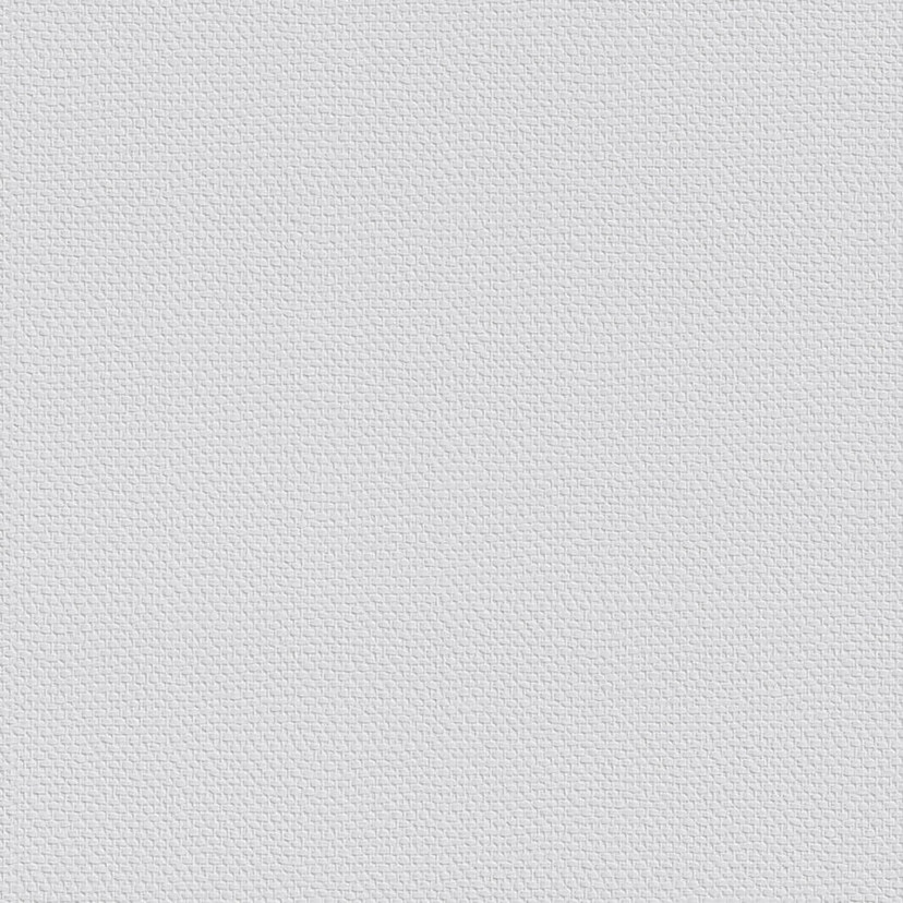 Erfurt non-woven tapet Protect 205
