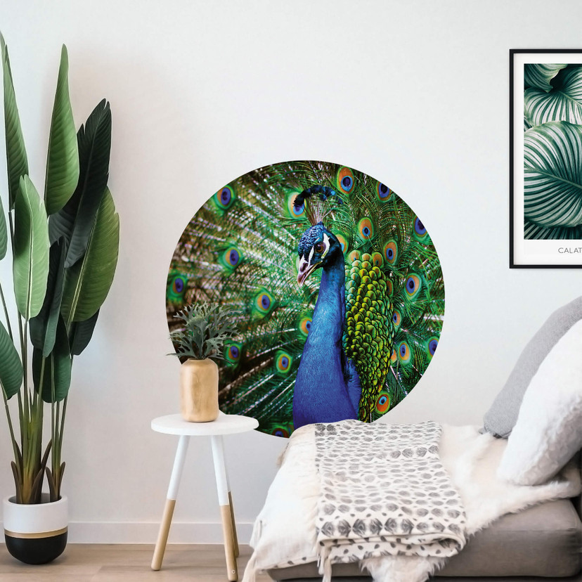 Sticker mural Magnifique paon - Rond