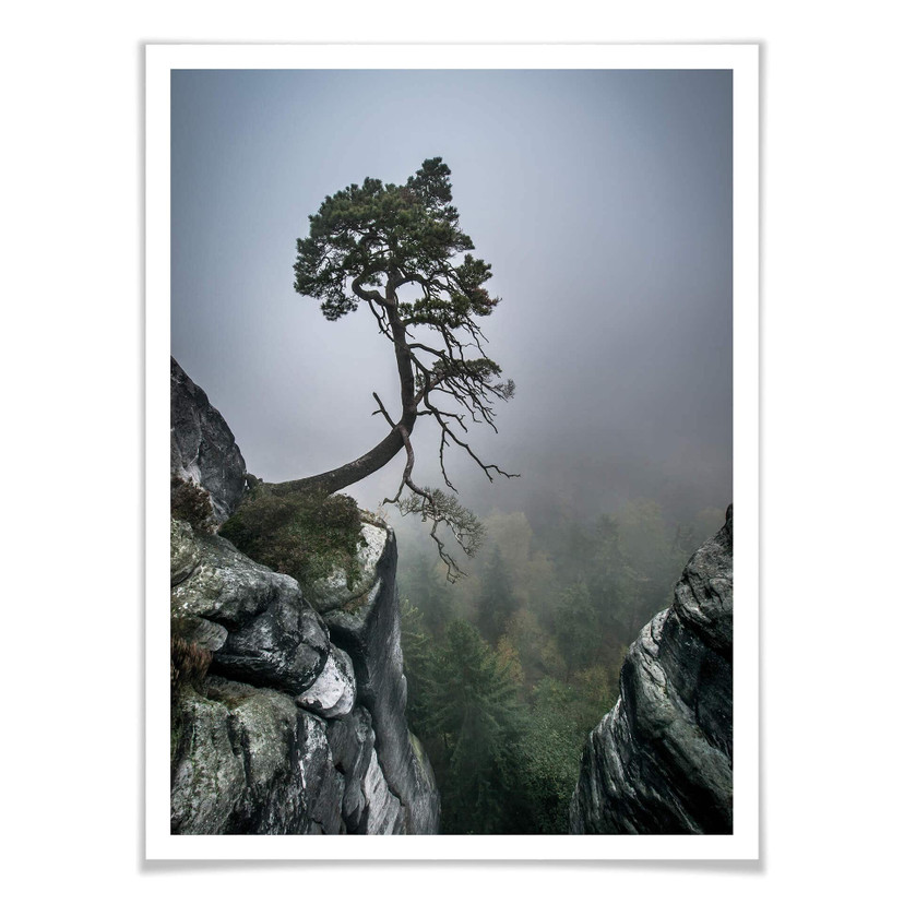 Poster Wonisch - Forces de la nature