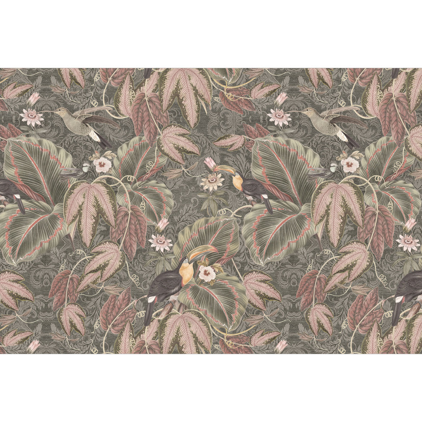 Papier peint jungle Toucan dans la forêt tropicale - Bloomery Decor