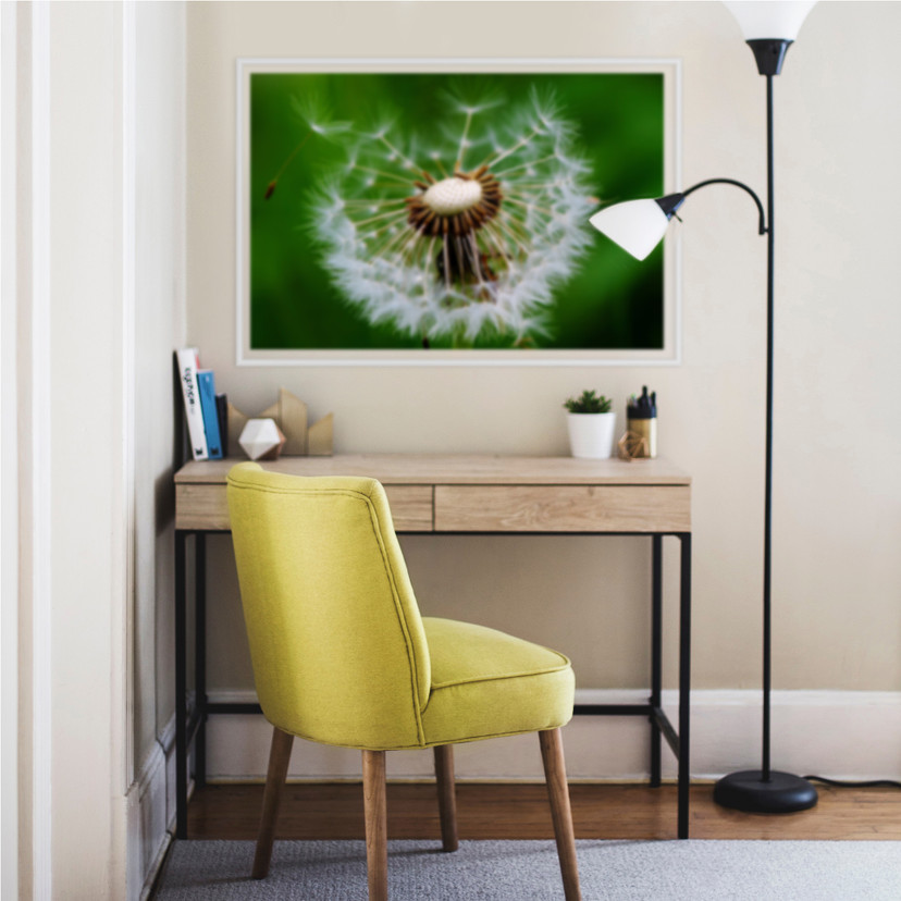 Wallprint Pusteblume im Wind
