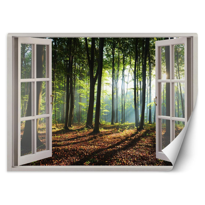 Fototapete Fensterblick Morgen im Wald
