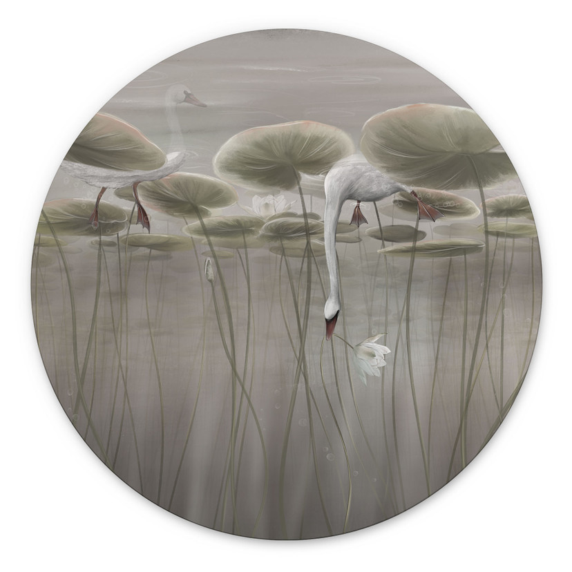 Wanddecoratie Lotusbloemen met zwaan in water in grijs - Ms Tiff - Alu-Dibond Rond
