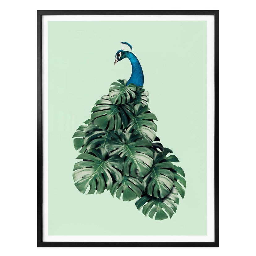 Plakat Loose - Monstera Bird