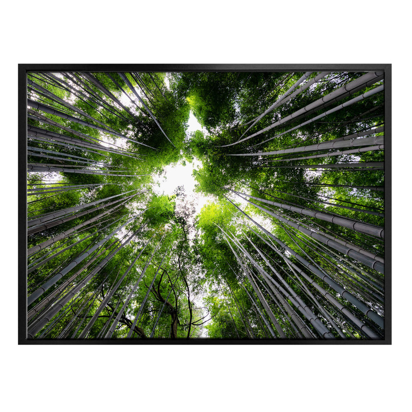 Plakat Hugonnard - Las w Japonii