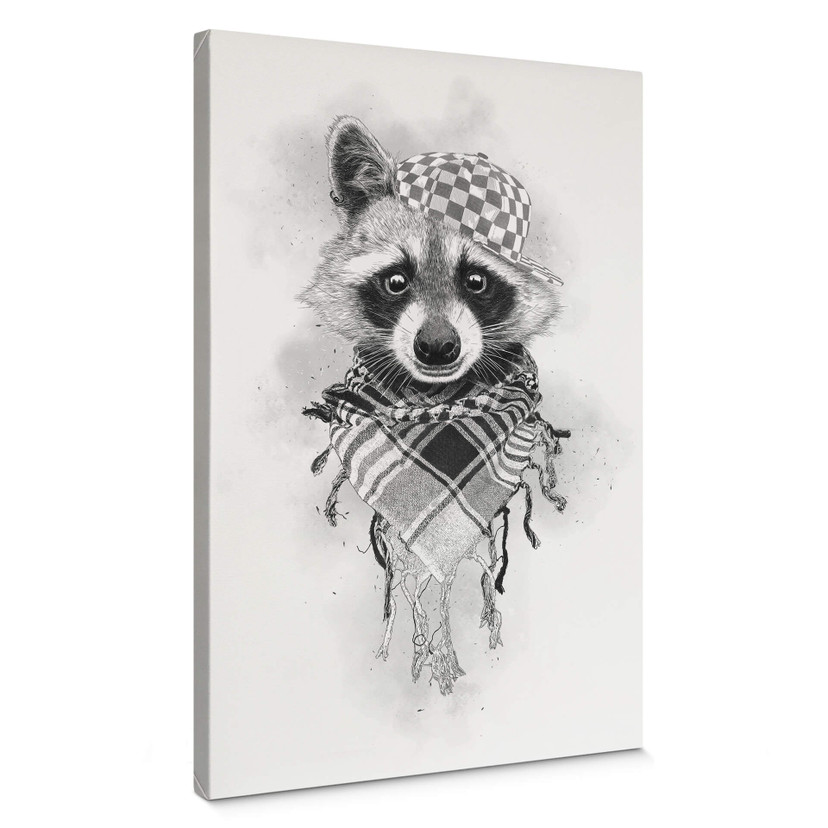 Obraz na płótnie Kools - Rocco Raccoon