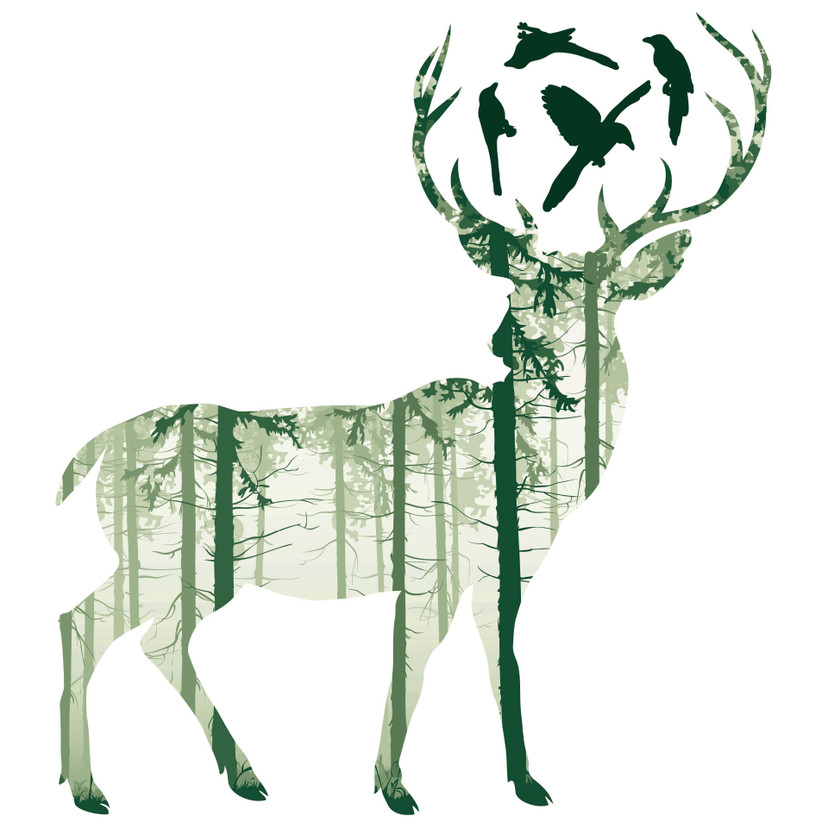 Sticker mural - Cerf vert