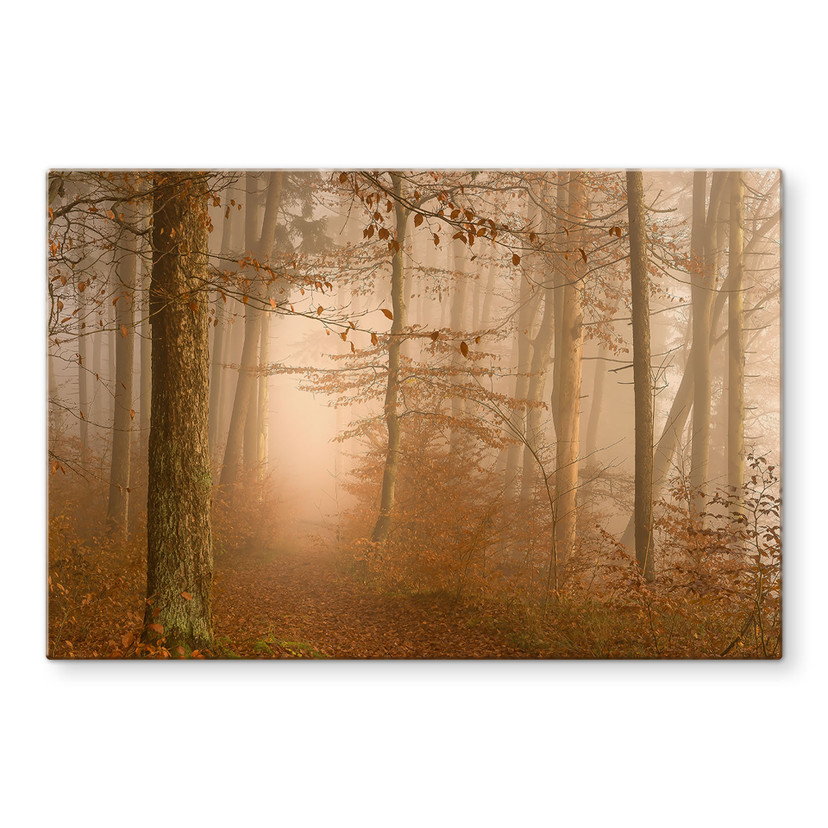 Crédence Brume et lumière dans une forêt automnale - Maier