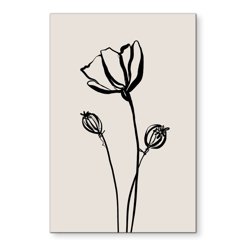 Tableaux Line Art Coquelicot - Cats & Dotz - Alu-Dibond